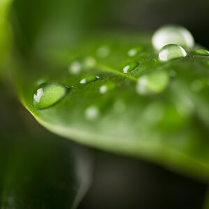 home_product_pic26 Teszt IS2